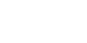 THD_Fencing_Logo